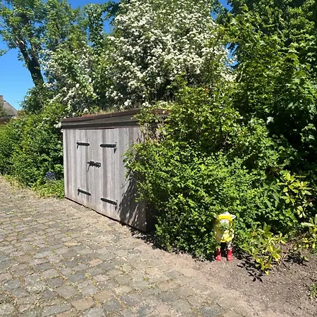 De Friesenjung Nordsee