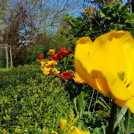 De Friesenjung Nordsee Σπίτι διακοπών Risum-Lindholm